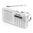 Radio digital FM Elbe RF-49-USB lector MP3 bater&iacute;a recargable