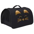 TRANSPORT&Iacute;N GATO GATO PLEGABLE