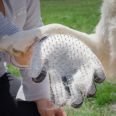 Guante p/cepillar y masajear mascotas